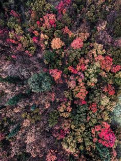 Stunning Drone Photography by David Waugh