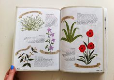 Ruby Taylor Illustration #print #plants #illustration