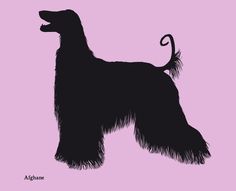 Dog silhouettes (set 2) #fellerer #together #illustration #forever #marge #friends