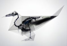 Oritsunagumono by Takayuki Hori | Colossal #skeleton #origami #bird