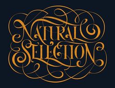 Boris Pelcer :: Socialfabrik Lettering #boris #apparel #graphic #natural #tee #pelcer #selection #typography