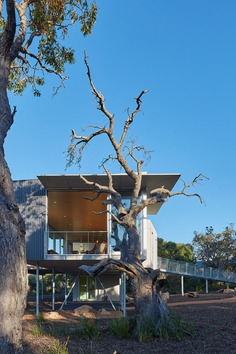Wilderness House is a Elevated Platform with Large Areas of Glass