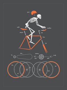 Bicycle Anatomy Art Print by Doug Harry