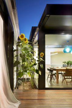 Pod House – Extension and Renovation by Nic Owen Architects