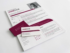 Free Feminine Timeline Resume Template with Business Card