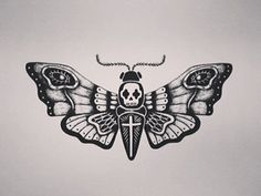 Moth #moth #drawing #illustration