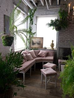 bellocq #plants #space #green