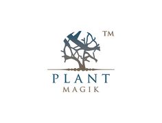 Plant Magik #india #body #care #hair #brand #nature #wellness #magic #spa #logo #plant