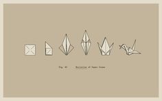 FFFFOUND! | All sizes | Evolution of Paper Crane | Flickr - Photo Sharing! #illustration #crane #paper