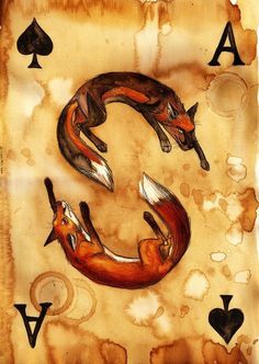 culpeo-fox_08.jpg 461×650 pixels #fox #cards #ace #illustration #drawn #hand
