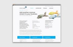 Payment Systems Group on the Behance Network #branding #design #origami #layout #web