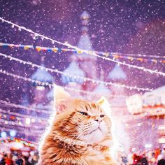 Moscow City During Christmas Festival