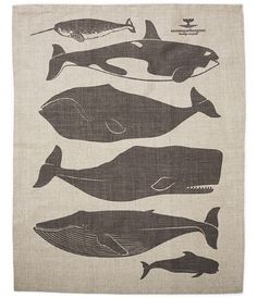 Whales Tea Towel by enormouschampion on Etsy #towel #illustration #etsy #tea #whales