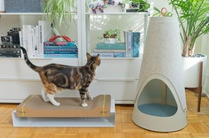 WISKI Launches with Two Modern Cat Scratchers