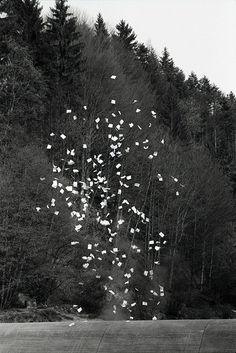 ART BLOG ART BLOG: Roman Signer, Early Works @ Galerie Martin Janda opens Friday, January 23rd, 2015 #tornado #white #wind #cyclone #funnel #black #photography #scattered #and #paper #trees