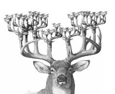 Фрактальный олень #deer #drawing #fractals