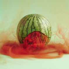 The Secret Lives of Fruits and Vegetables by Maciek Jasik