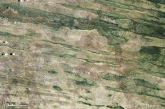 Linear Dunes of the Caprivi Strip : Image of the Day #caprivi #satellite #nasa #land #imager #strip #advanced #photography #namibia