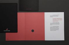 Champions Brand Identity on Behance #color #colour