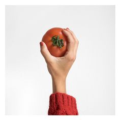 Food Colors on Behance - Judit Musachs i Mercè Alfonsea #red #clothes #chromatic #color #fruits #eat #food #vegetables #artwork #tomato #play #nails #postcard