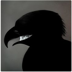 Untitled | Flickr - Photo Sharing! #flickr #khosrow #amir #bird #black #eagle #portrait #tamishir #surreal #collage #dark