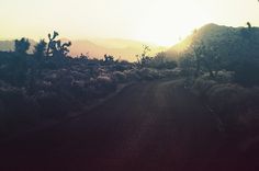 Untitled | Flickr - Photo Sharing! #road #photography #horizon #sunset #desert