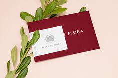 Terra de Flora by Param branding design corporate identity pink new modern style best cool minimal graphic designer mindsparkle mag www.min