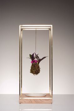 Plant Bondage by Light + Ladder #modern #design #minimalism #minimal #leibal #minimalist