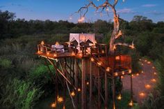 Sleep Under the Stars at South African Resort – Fubiz™ #africa #architecture #house #tree