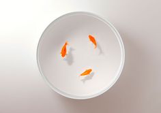 ramon ubeda + otto canalda float fish inside up in the air table for viccarbe #table