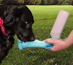 Handi-Drink Dog Water Bottle #gadget