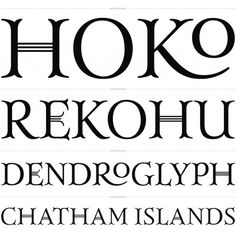 Klim / Custom / Hokotohu #klim #typeface #foundry #hokotohu #type #typography
