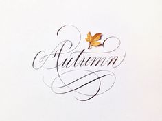 Autumn - Joan Quirós calligraphy. #calligraphy #copperplate