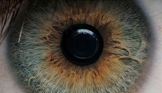 tumblr_la327ru9yK1qb899go1_500.jpg (500×288) #eye #photography #iris #eyeball