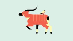 Bongo, by Always With Honor #inspiration #creative #design #graphic #illustration #animal