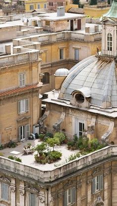 Rooftop garden in Roma... #garden #rooftop