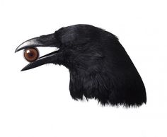 photo manipulation by Nancy Fouts #sculpture #bizarre #photo #eyeball #photography #manipulation #crow #raven