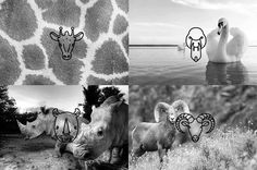 Animal Line Icon Set – PSD Freebies #icon #psd #free #set #annimals