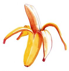 The New York Times : Holly Wales #holly #illustration #banana #wales