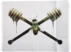 Sam Weber #crossbones #weber #bee #illustration #honey #sam