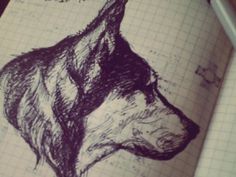 Dribbble - Sasha Illustration by David Moscati #dribbble #instagram #husky #design #drawing #sasha #wolf #animal #sketch #dog