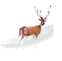 Katie So Illustration & Design Portfolio #so #illustration #deer #katie