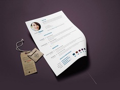 Free Clean Minimalist CV Template in PSD File Format