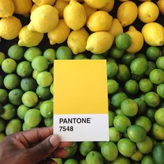 CJWHO ™ (The Pantone Project by Paul Octavious Paul...) #creative #design #octavuious #colors #pantone #art #paul