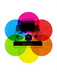 Tumblr #color #polaroid