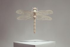 KyleBean.co.uk - Portfolio #sculpture #kyle #insect #dragonfly #photography #bean