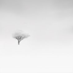 Amazing Winter Foggy Photos by Vassilis Tangoulis #foggy #forest #snow #winter