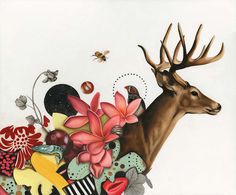 Paintings by Kelly Allen #antlers #deer #stag #illustration #nature #painting #collage #flowers