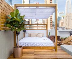 Hong Kong Cramped Flat Converted in a Eco High Tech Rooftop Retreat