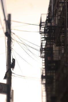 Wirazzz(205)_©donguss | Flickr - Photo Sharing! #urban #tiltshift #blur #photography #emotive